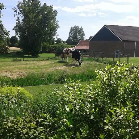 Bbwesteinder Vof * Kudelstaart