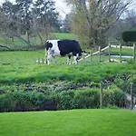Bbwesteinder Vof Bed & Breakfast *