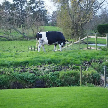 Bbwesteinder Vof Bed & Breakfast *