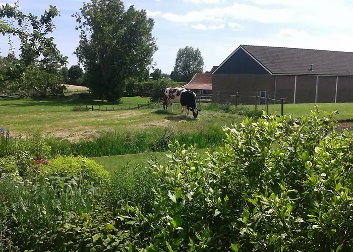 Bbwesteinder Vof * Kudelstaart